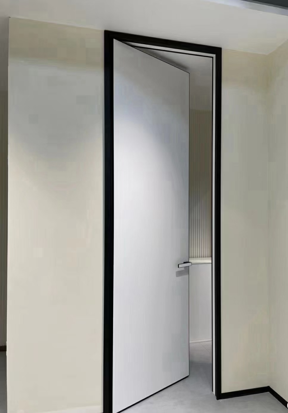 Frameless Door