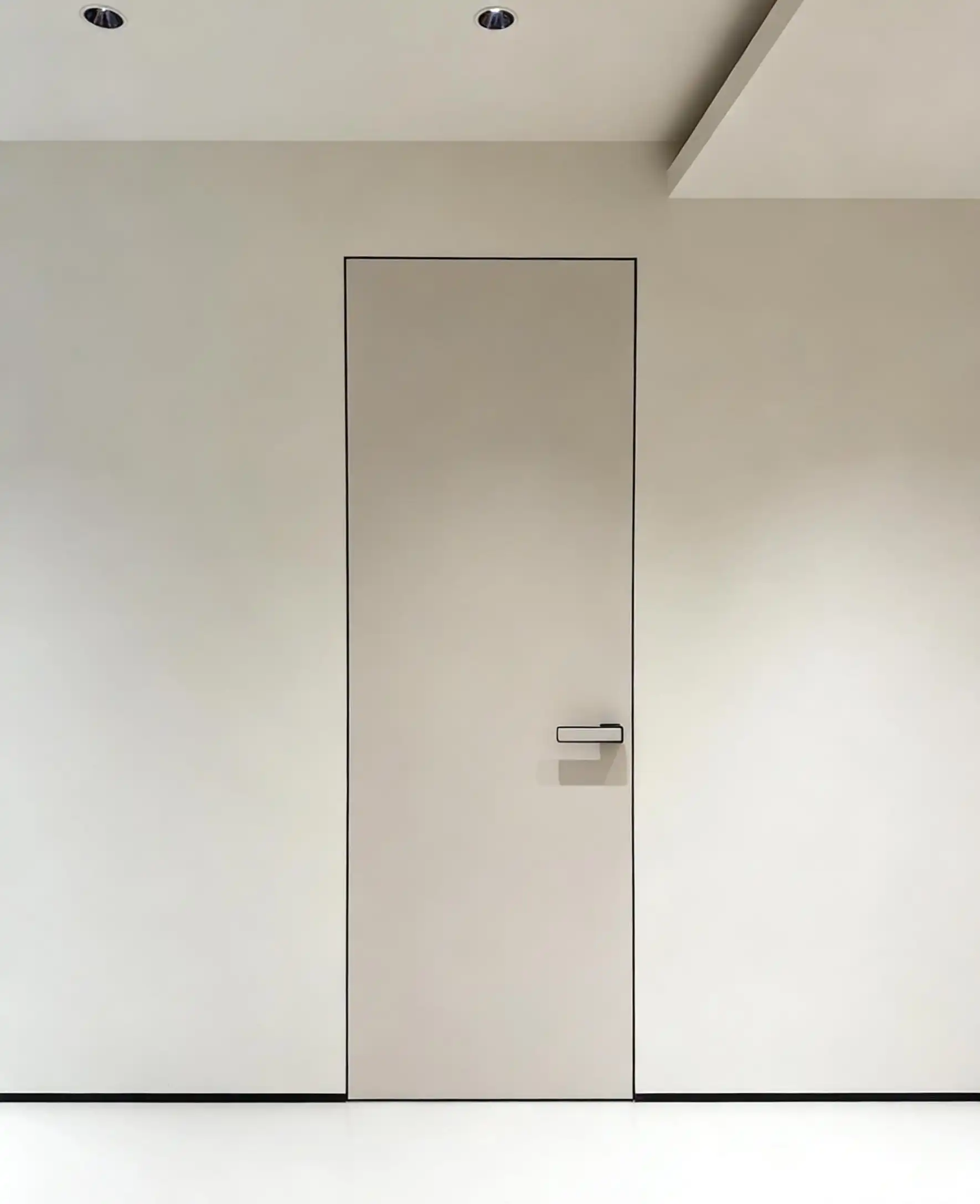 Frameless Door
